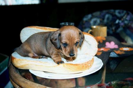 ta faim